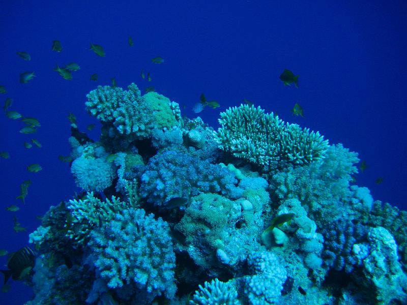 2009-12-05 11-01-26S.JPG